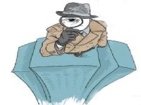 大化瑶族自治县取证公司解说第三者承担离婚赔偿责任吗
